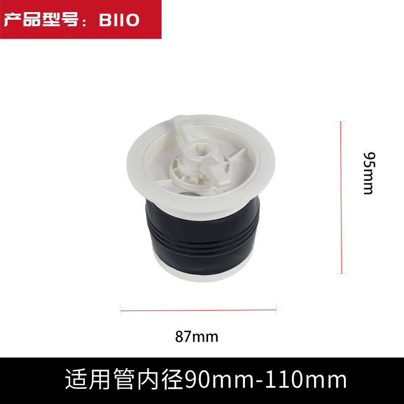 B110.jpg